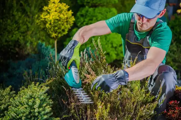 landscaping services Arapahoe